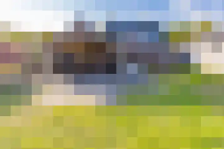 Barnflair Oost 25 a Ter Apel thumbnail 43