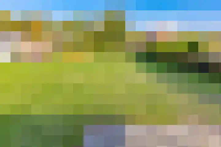 Barnflair Oost 25 a Ter Apel thumbnail 44