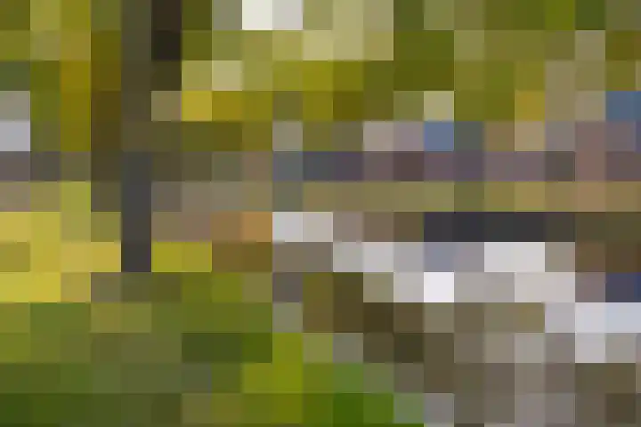 Barnflair Oost 25 a Ter Apel thumbnail 5