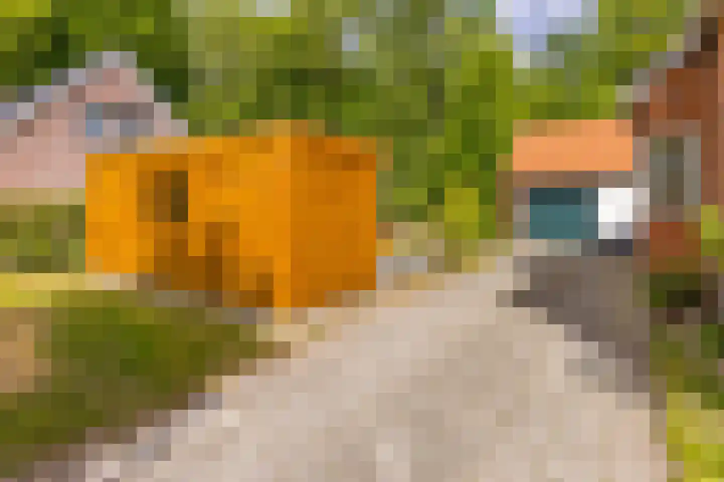 Barnflair Oost 3 Ter Apel thumbnail 10