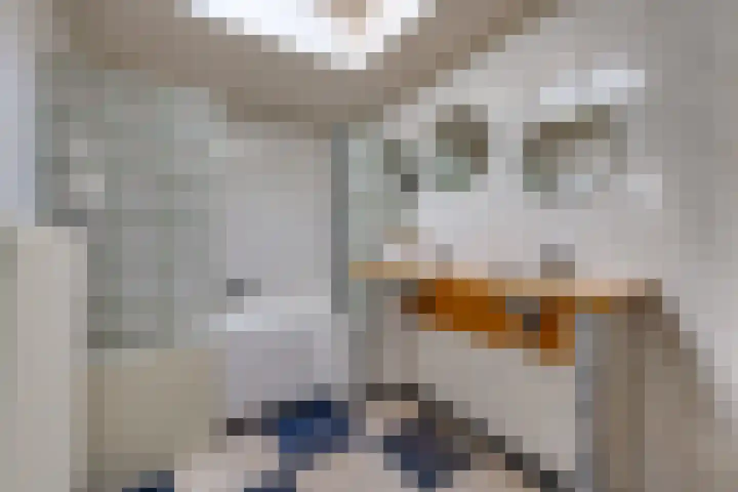 Barnflair Oost 3 Ter Apel thumbnail 23