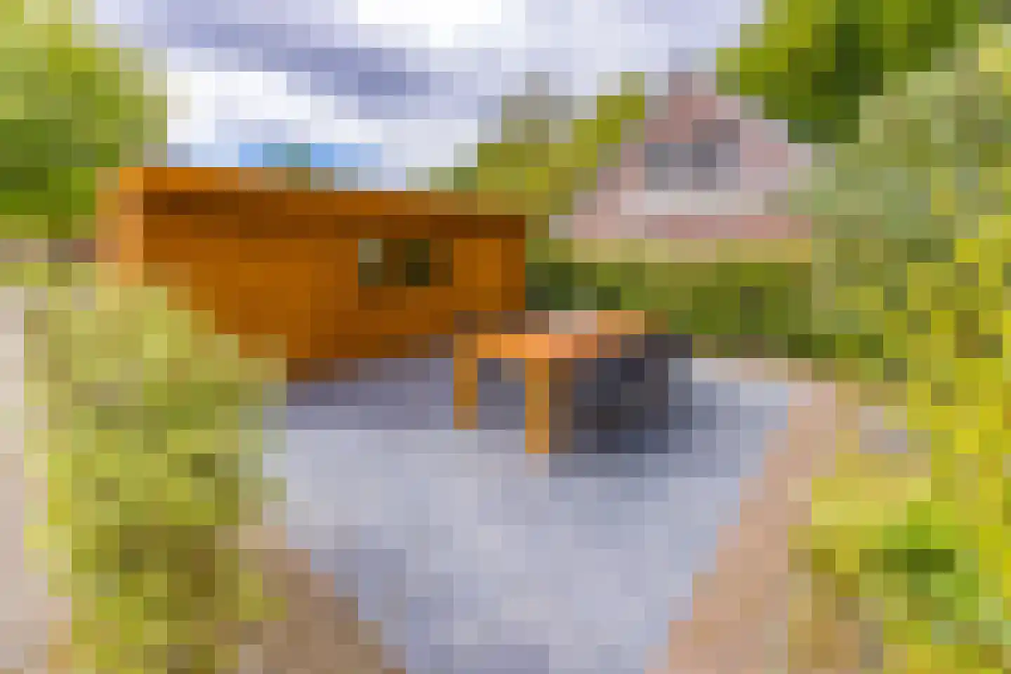 Barnflair Oost 3 Ter Apel thumbnail 38