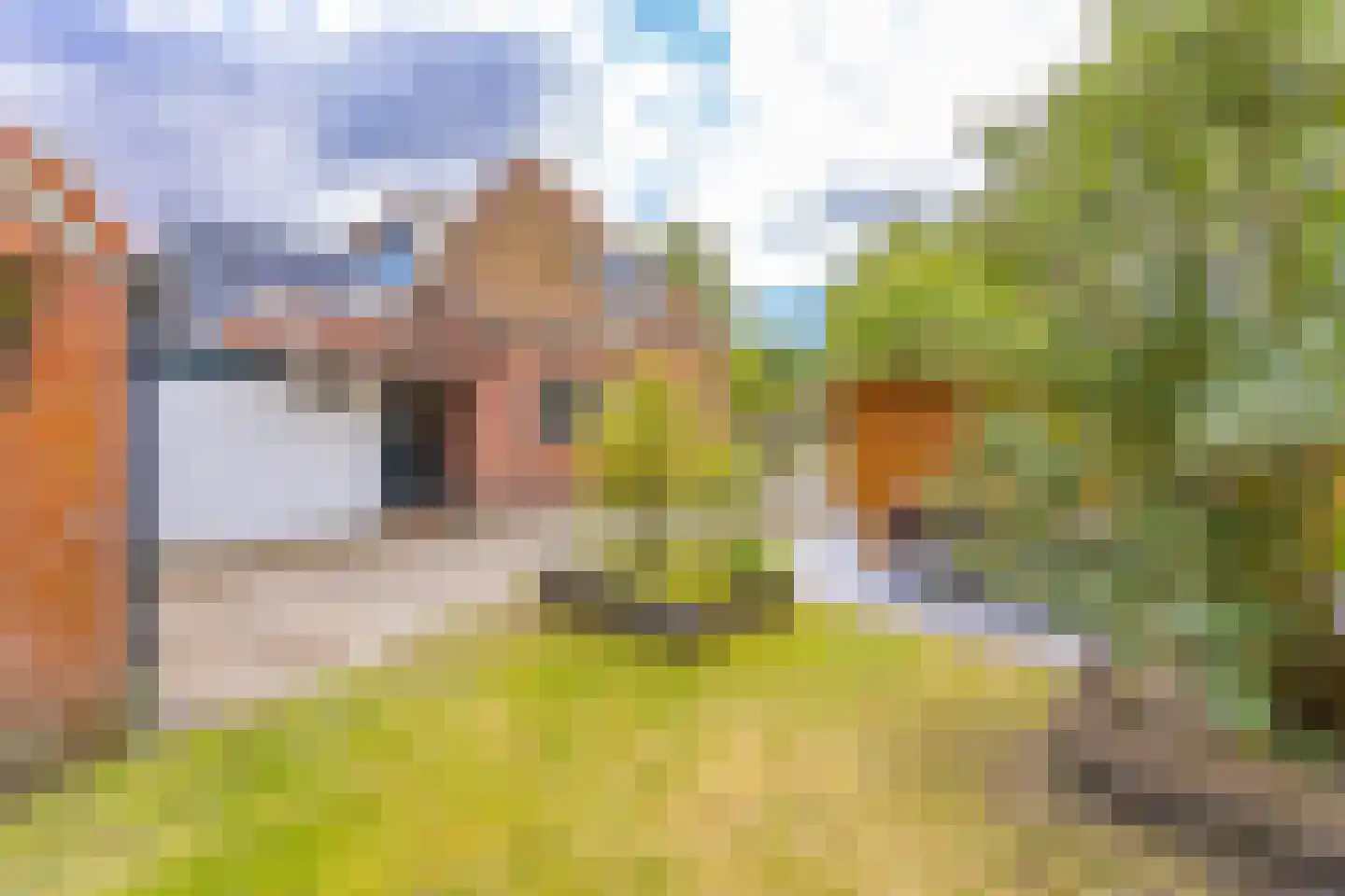 Barnflair Oost 3 Ter Apel thumbnail 39