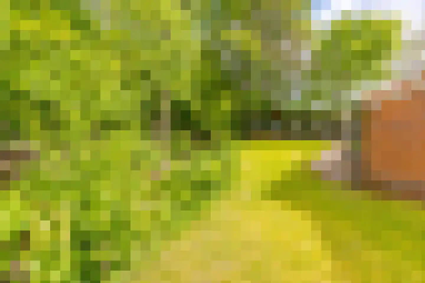 Barnflair Oost 3 Ter Apel thumbnail 42