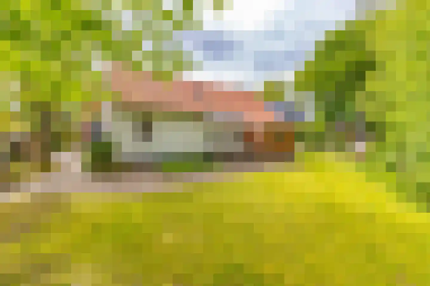 Barnflair Oost 3 Ter Apel thumbnail 43