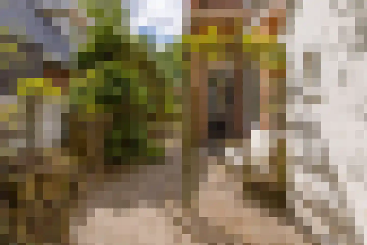 Barnflair Oost 3 Ter Apel thumbnail 44
