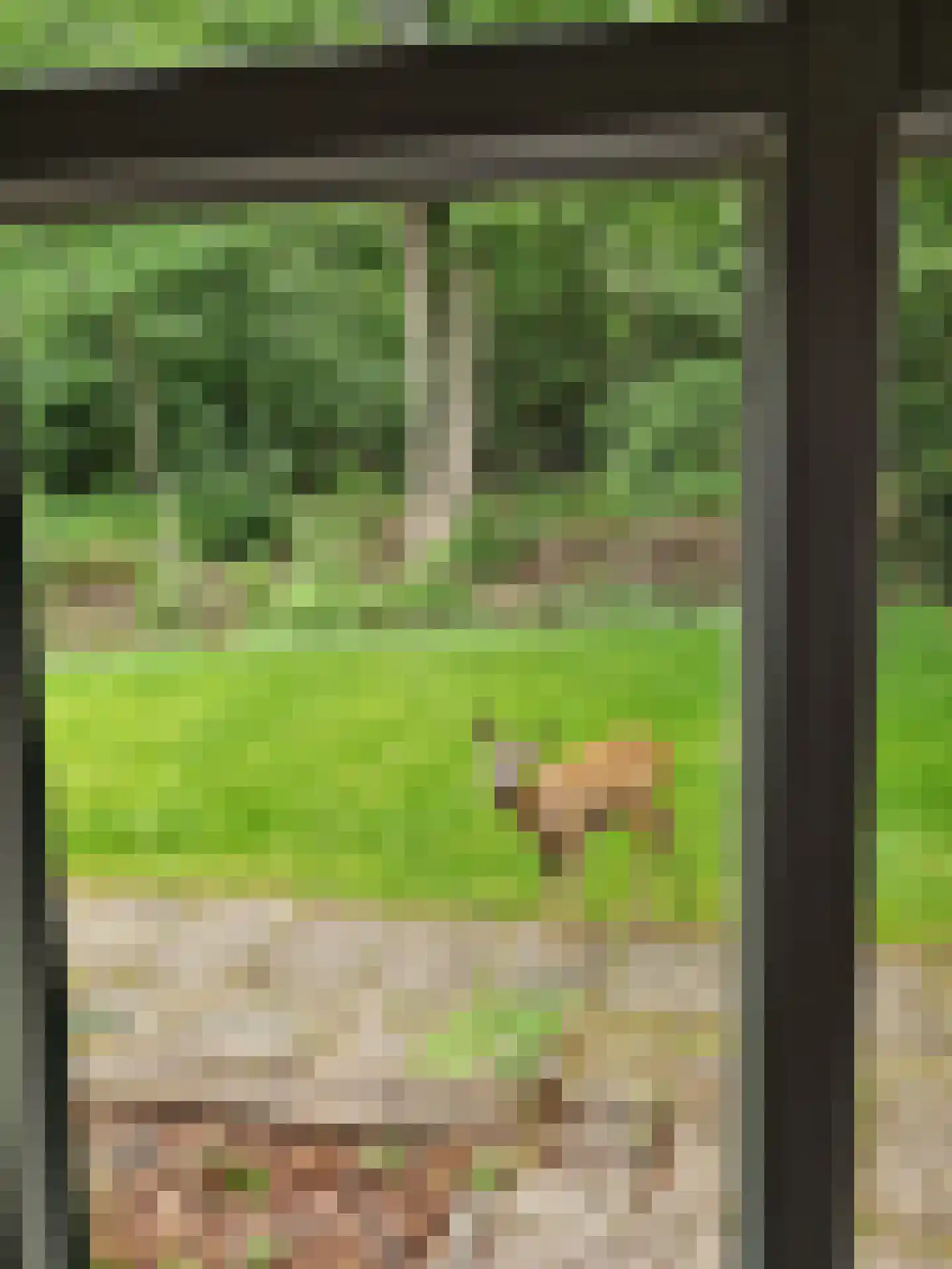 Barnflair Oost 3 Ter Apel thumbnail 45