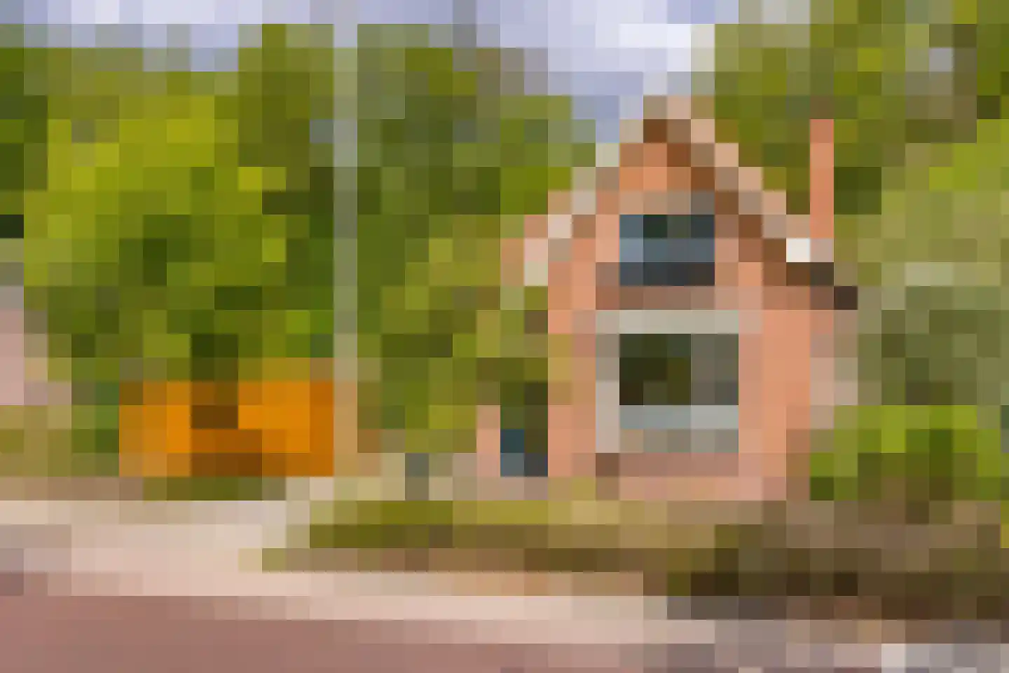 Barnflair Oost 3 Ter Apel thumbnail 5