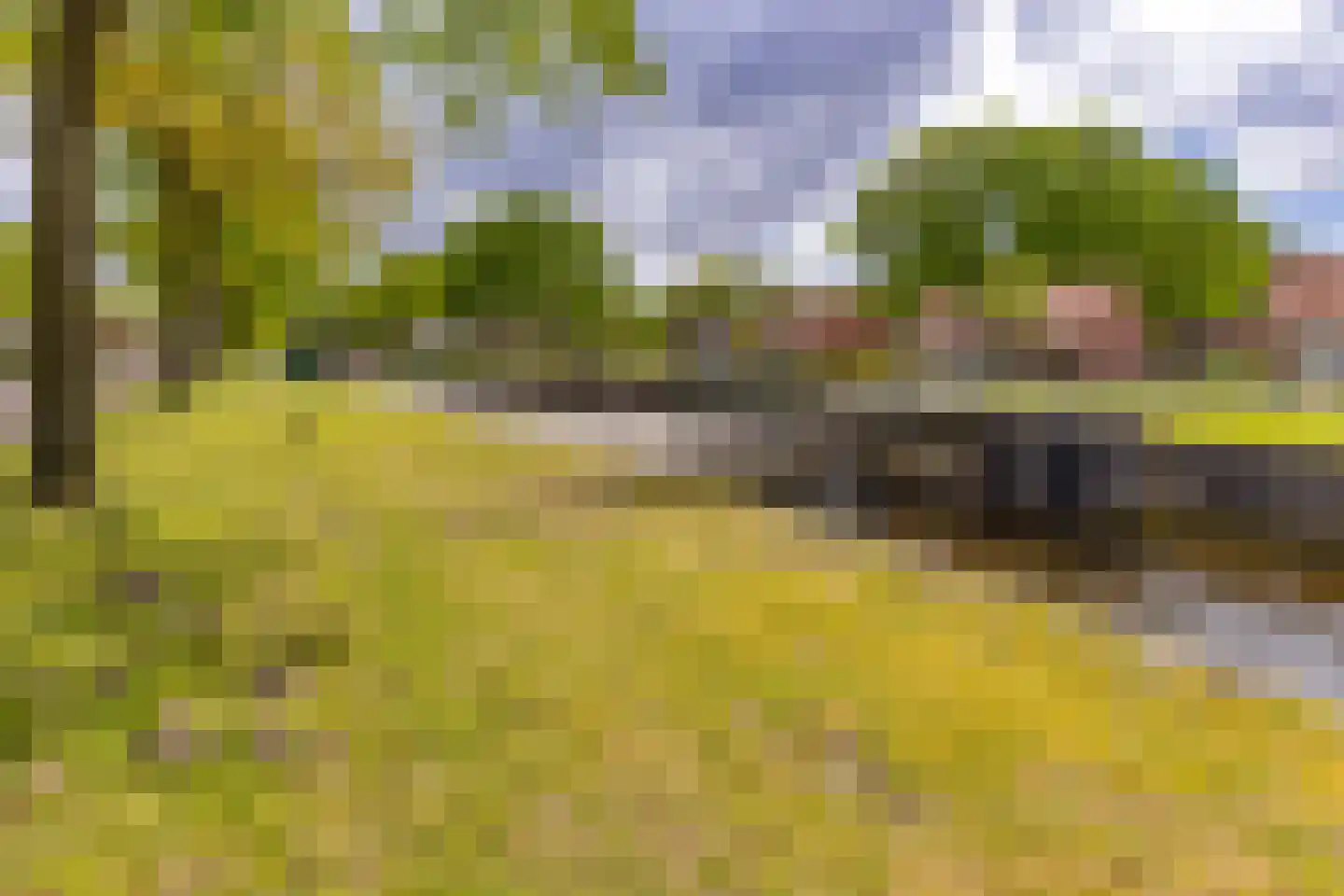 Barnflair Oost 3 Ter Apel thumbnail 7