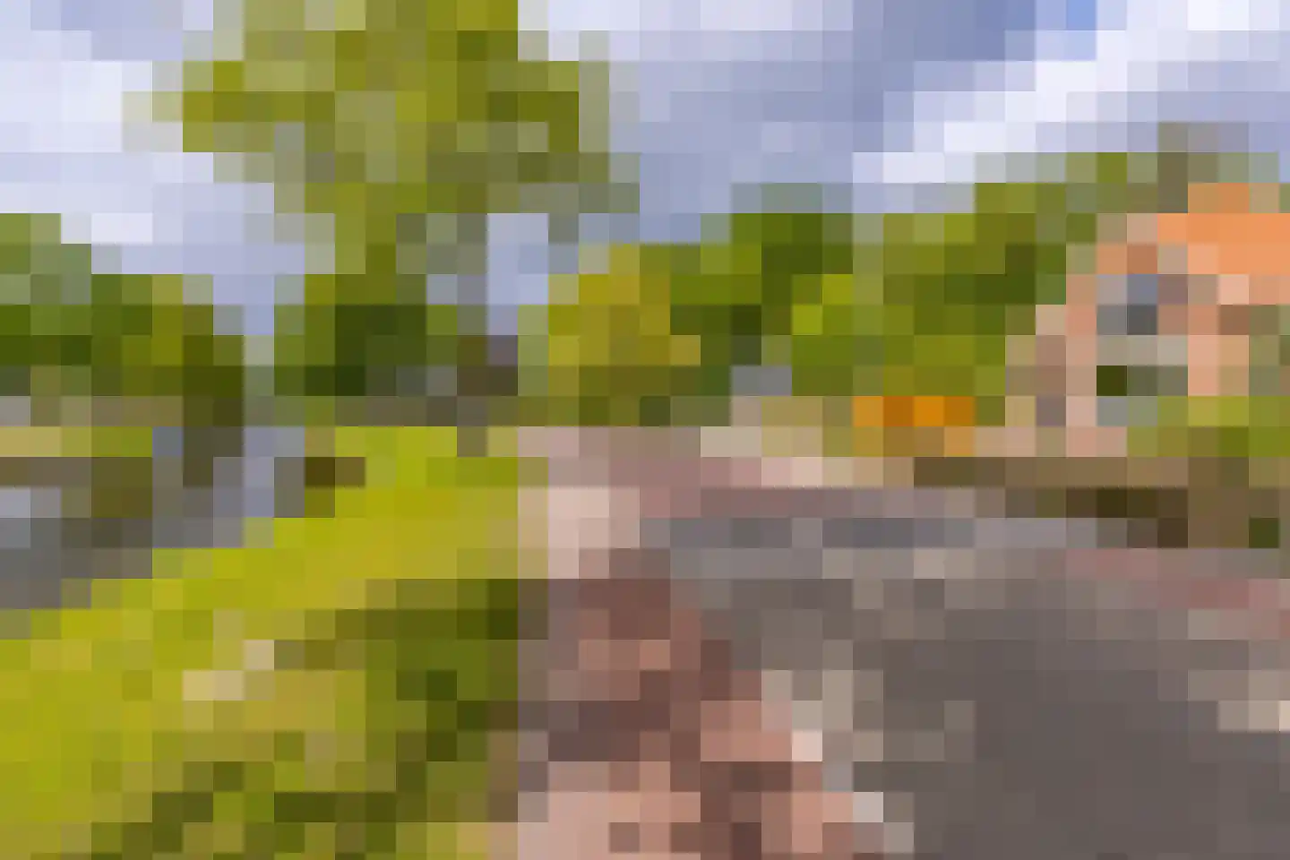 Barnflair Oost 3 Ter Apel thumbnail 8