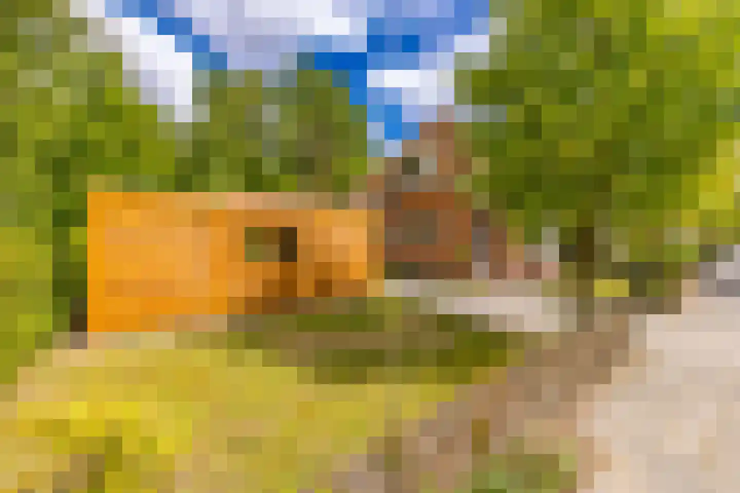 Barnflair Oost 3 Ter Apel thumbnail 9