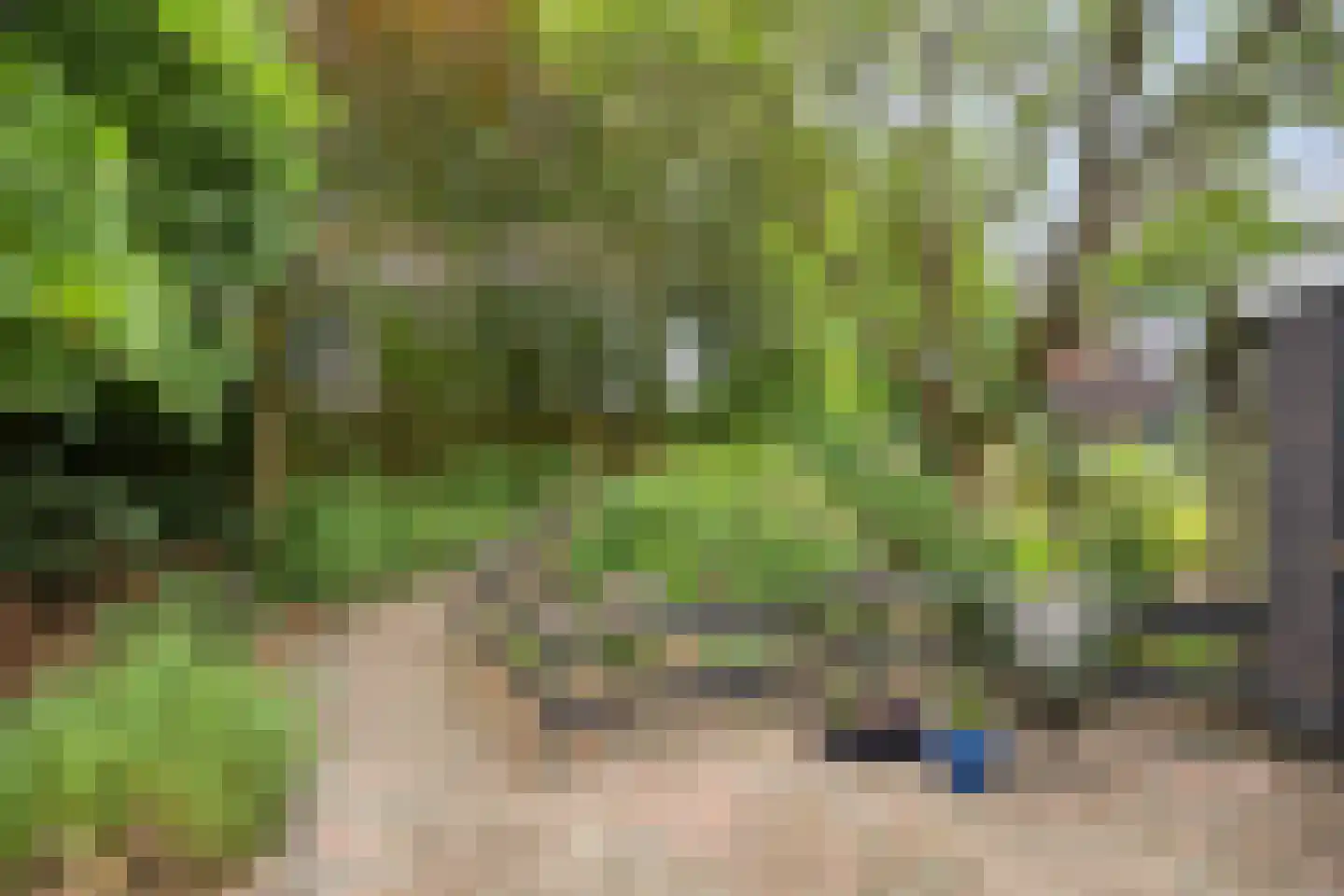 Barnflair Oost 52 Ter Apel thumbnail 30