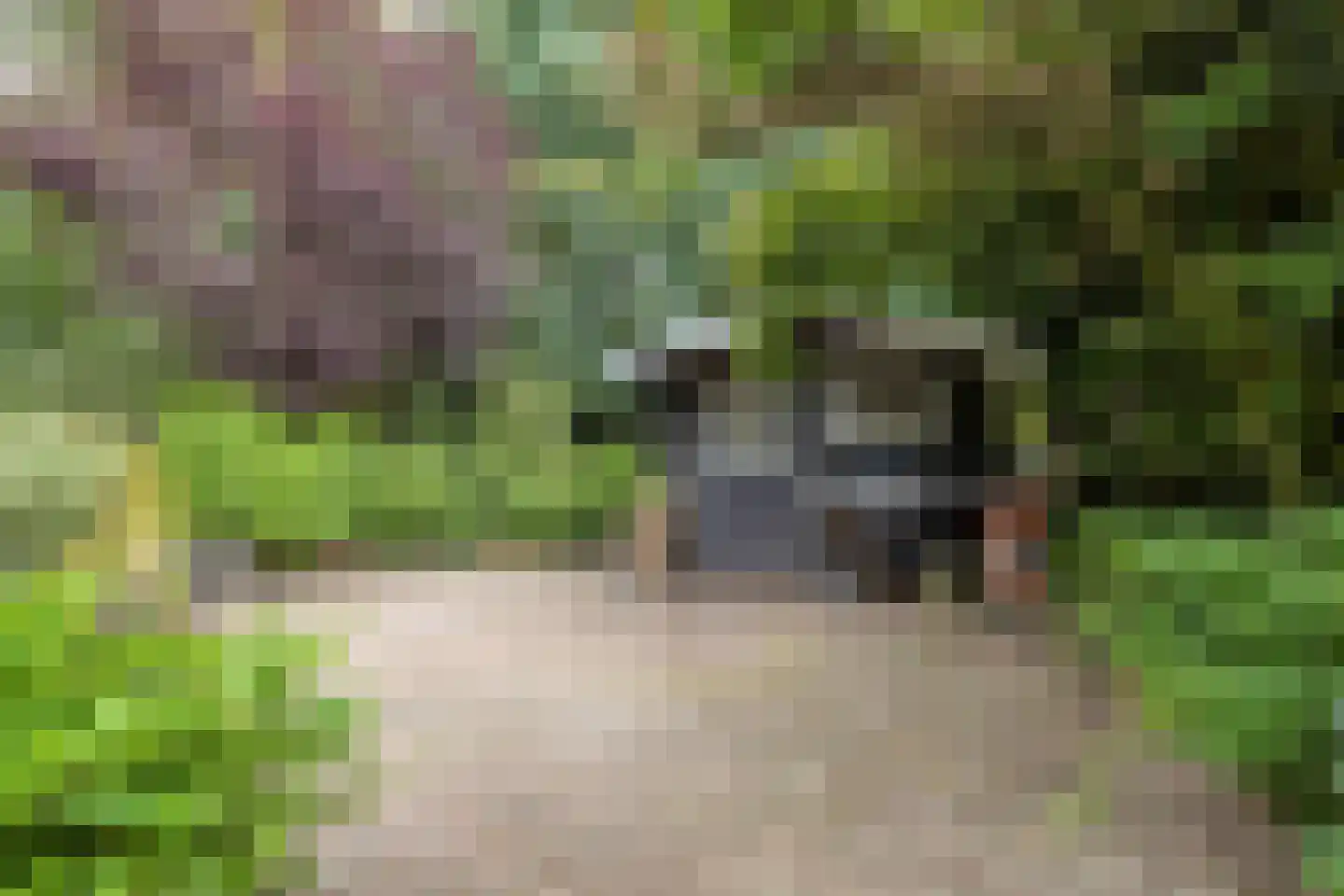 Barnflair Oost 52 Ter Apel thumbnail 50