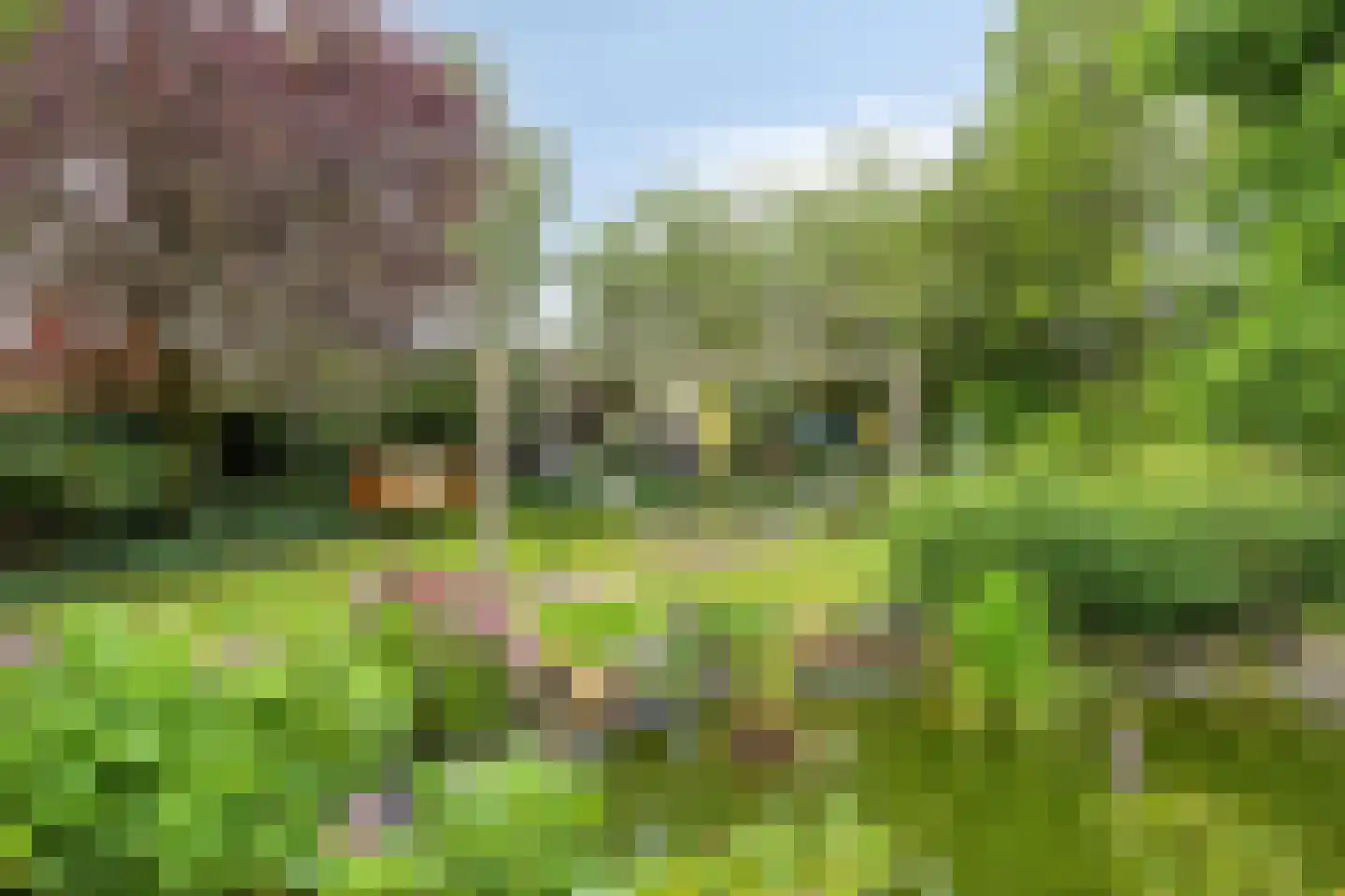 Barnflair Oost 52 Ter Apel thumbnail 52
