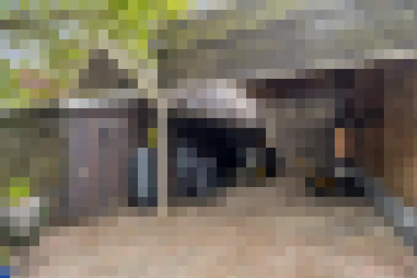Barnflair Oost 52 Ter Apel thumbnail 53