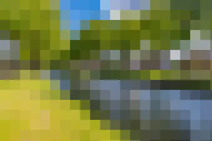 Barnflair Oost 64 Ter Apel thumbnail 10