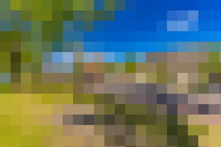 Barnflair Oost 64 Ter Apel thumbnail 11