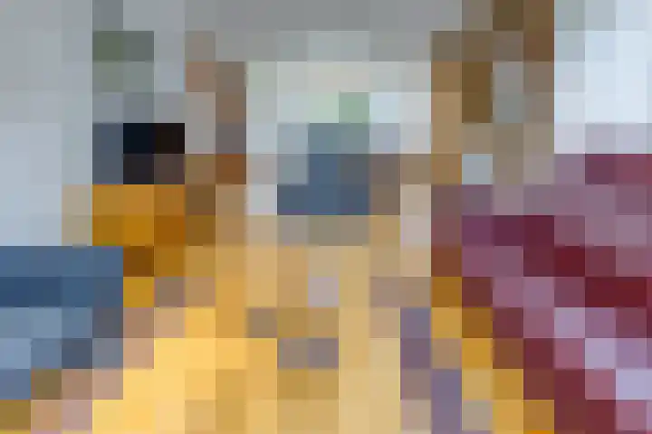 Barnflair Oost 64 Ter Apel thumbnail 13