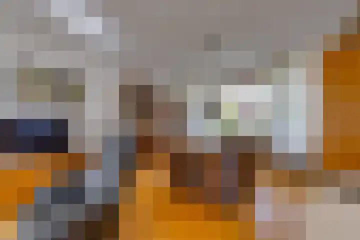Barnflair Oost 64 Ter Apel thumbnail 14