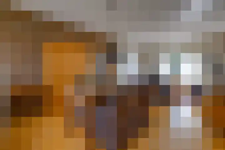 Barnflair Oost 64 Ter Apel thumbnail 15
