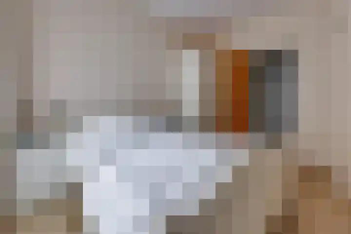 Barnflair Oost 64 Ter Apel thumbnail 24