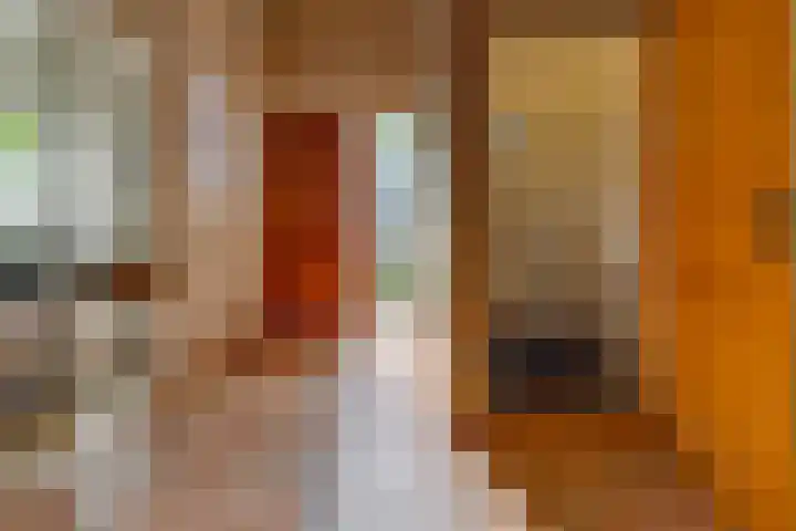 Barnflair Oost 64 Ter Apel thumbnail 25
