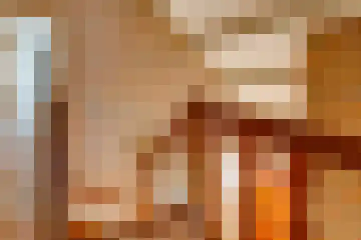 Barnflair Oost 64 Ter Apel thumbnail 28
