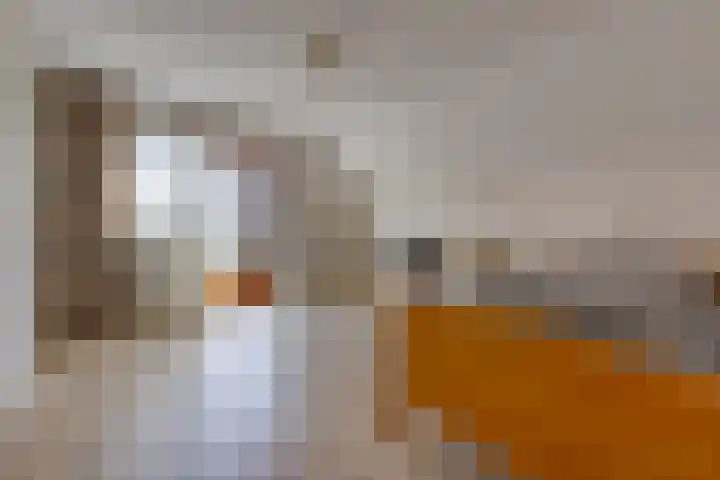 Barnflair Oost 64 Ter Apel thumbnail 29