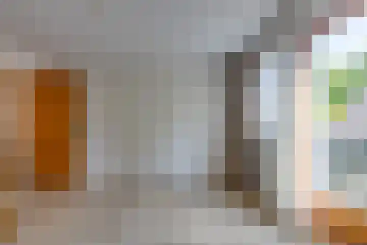 Barnflair Oost 64 Ter Apel thumbnail 31