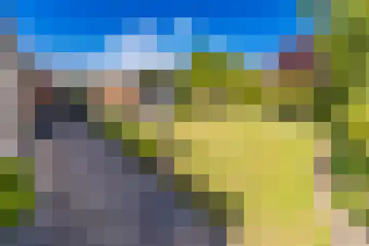 Barnflair Oost 64 Ter Apel thumbnail 35