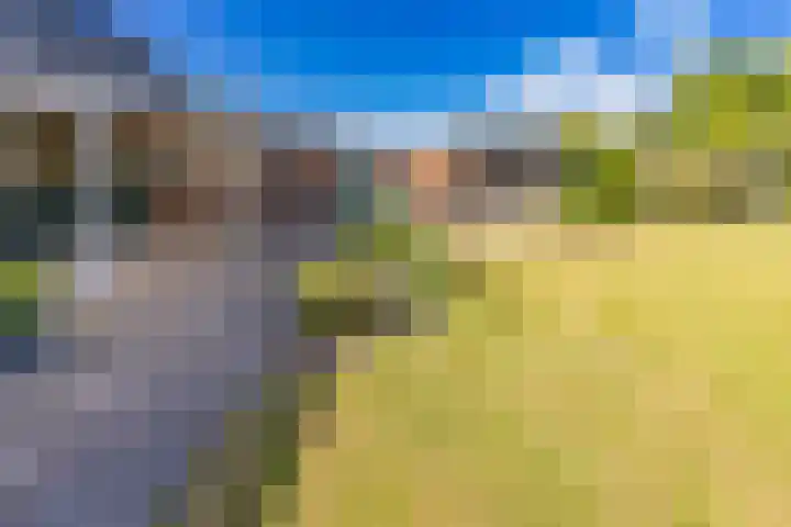 Barnflair Oost 64 Ter Apel thumbnail 36