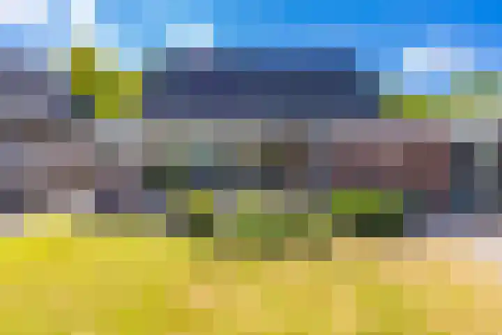 Barnflair Oost 64 Ter Apel thumbnail 37