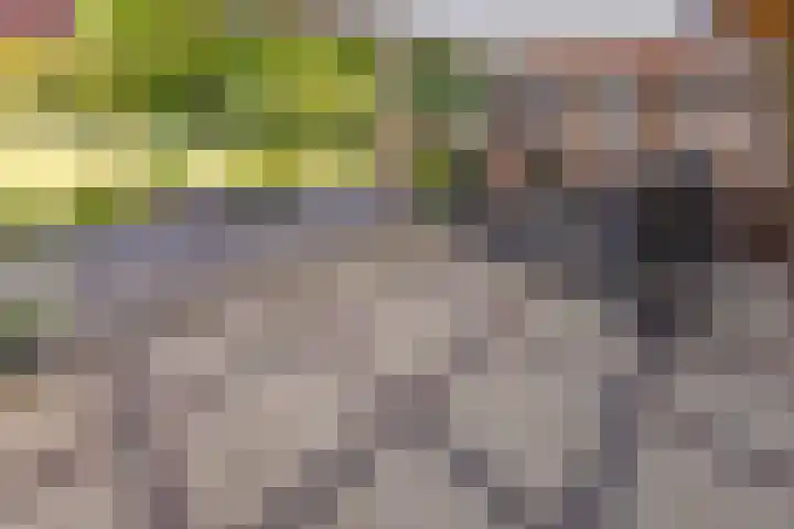 Barnflair Oost 64 Ter Apel thumbnail 39