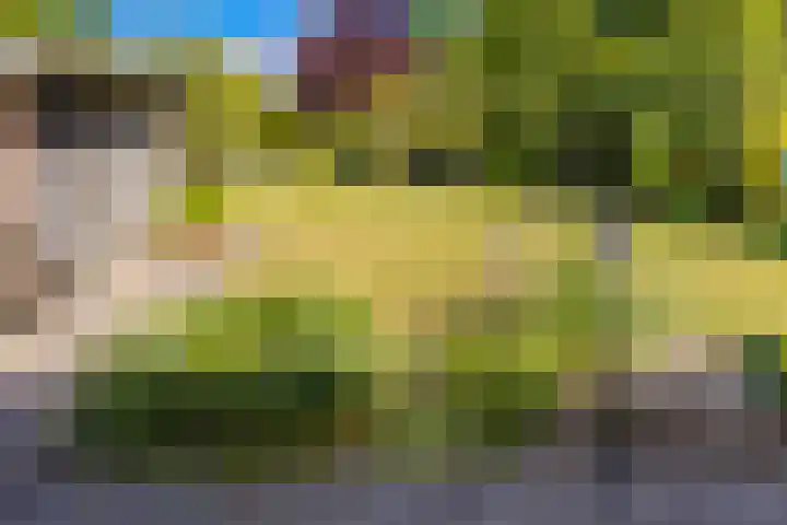 Barnflair Oost 64 Ter Apel thumbnail 40