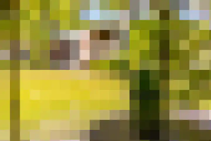 Barnflair Oost 64 Ter Apel thumbnail 41