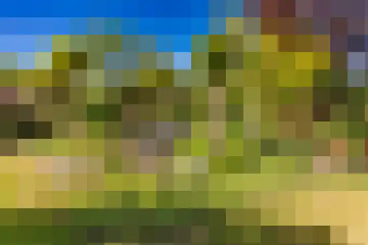 Barnflair Oost 64 Ter Apel thumbnail 42