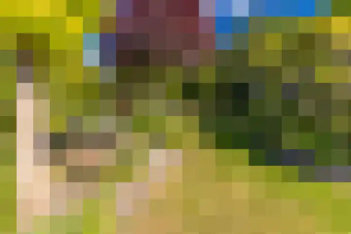 Barnflair Oost 64 Ter Apel thumbnail 43