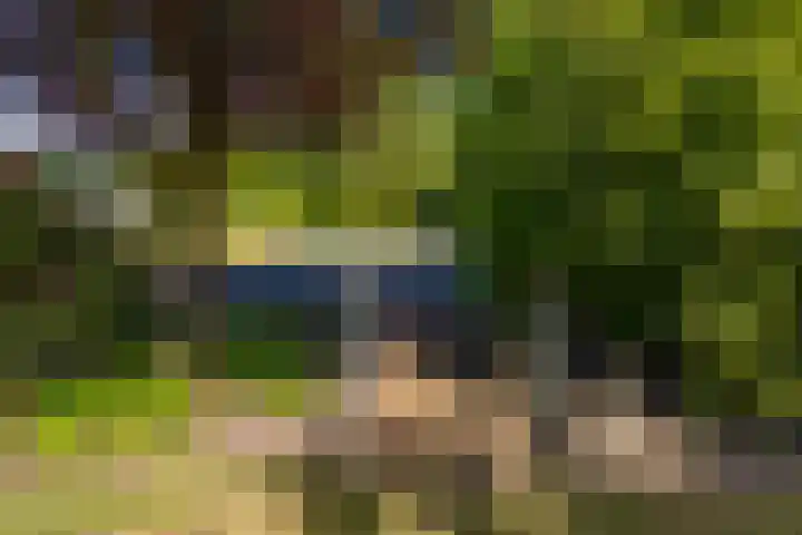 Barnflair Oost 64 Ter Apel thumbnail 44