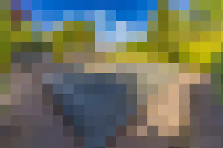 Barnflair Oost 64 Ter Apel thumbnail 45