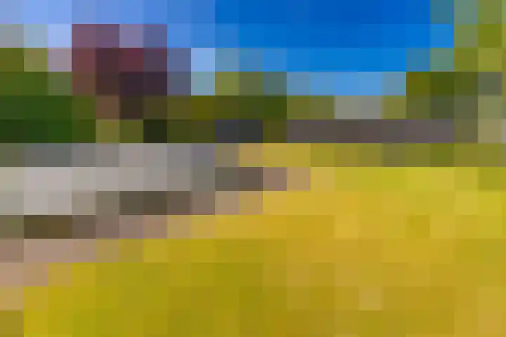 Barnflair Oost 64 Ter Apel thumbnail 46