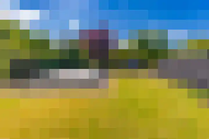 Barnflair Oost 64 Ter Apel thumbnail 47