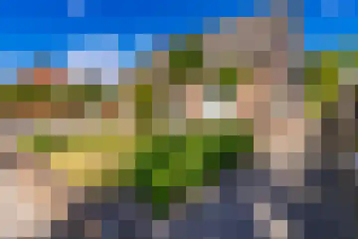 Barnflair Oost 64 Ter Apel thumbnail 7