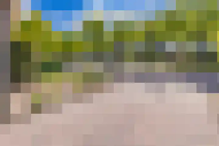 Barnflair Oost 64 Ter Apel thumbnail 8