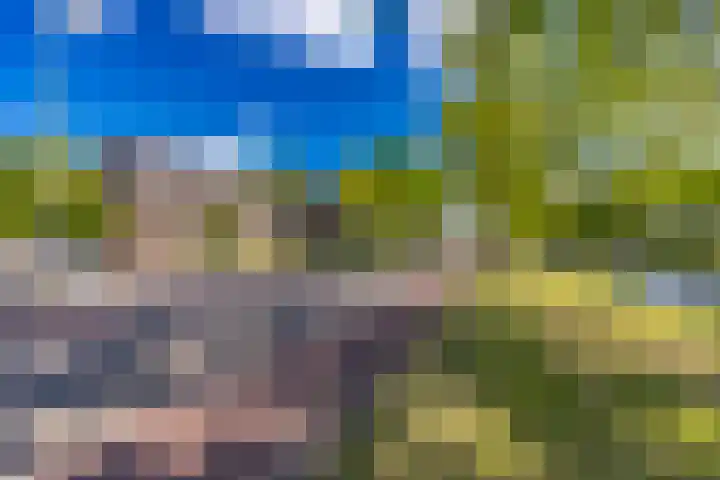 Barnflair Oost 64 Ter Apel thumbnail 9