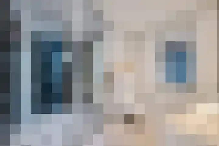 Barnflair West 11 Ter Apel thumbnail 32