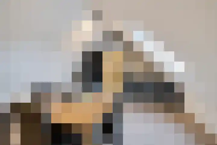 Barnflair West 11 Ter Apel thumbnail 34