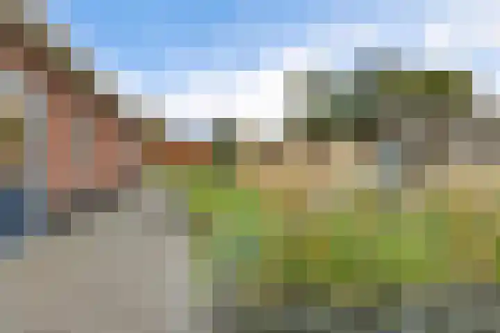 Barnflair West 11 Ter Apel thumbnail 38