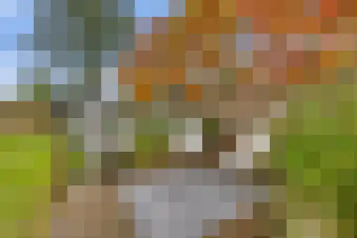 Barnflair West 11 Ter Apel thumbnail 41
