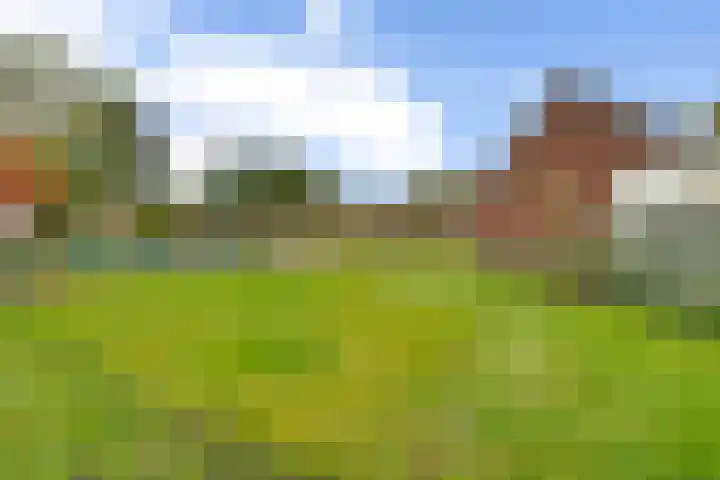 Barnflair West 11 Ter Apel thumbnail 42