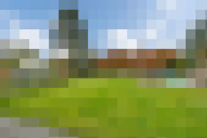 Barnflair West 11 Ter Apel thumbnail 43